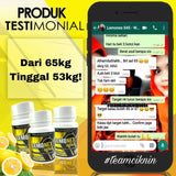 Lemonex Gold (NEW 2019)